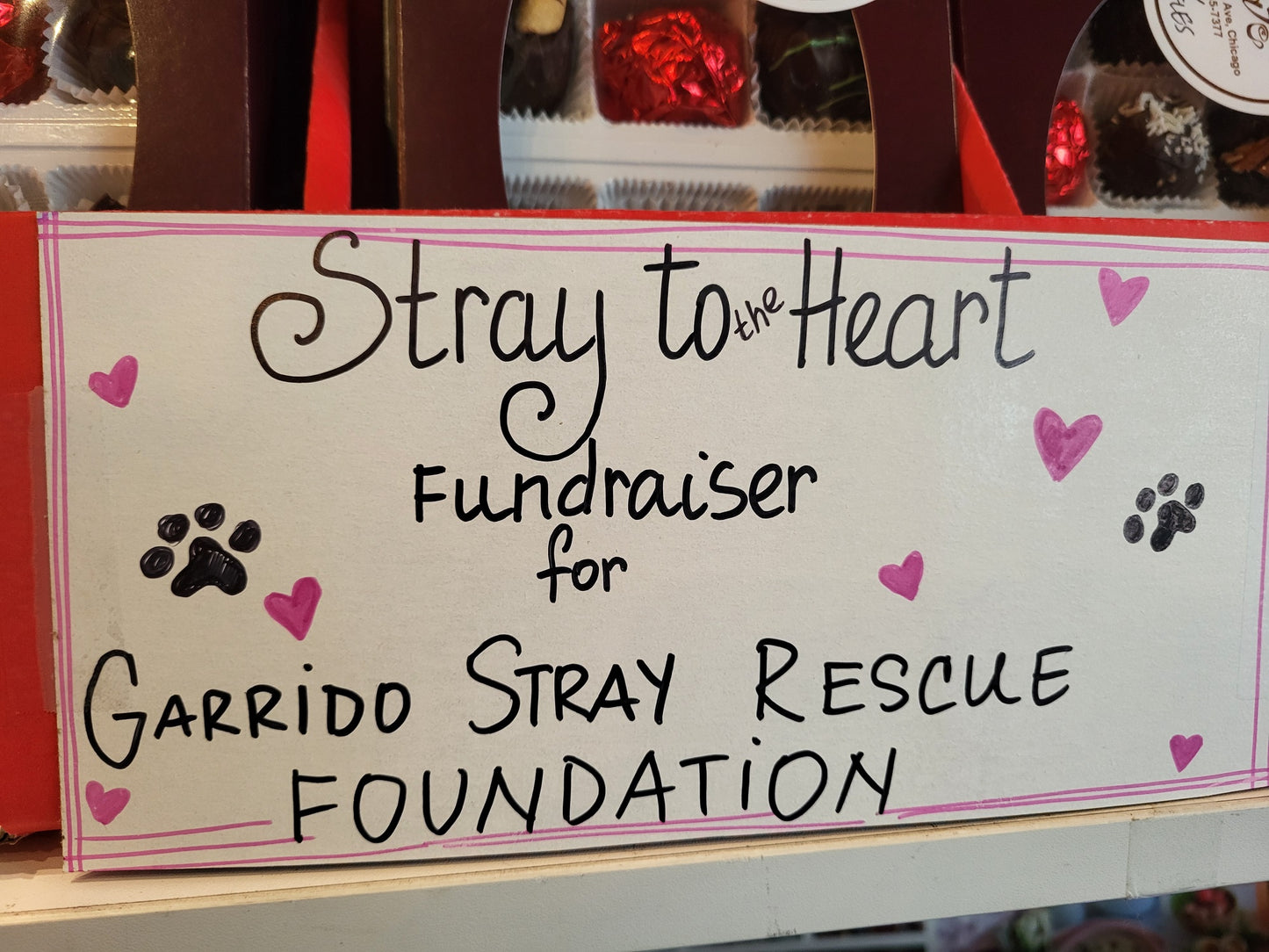 Stray to the Heart City News Cafe Chocolate Truffles (12 Pieces)